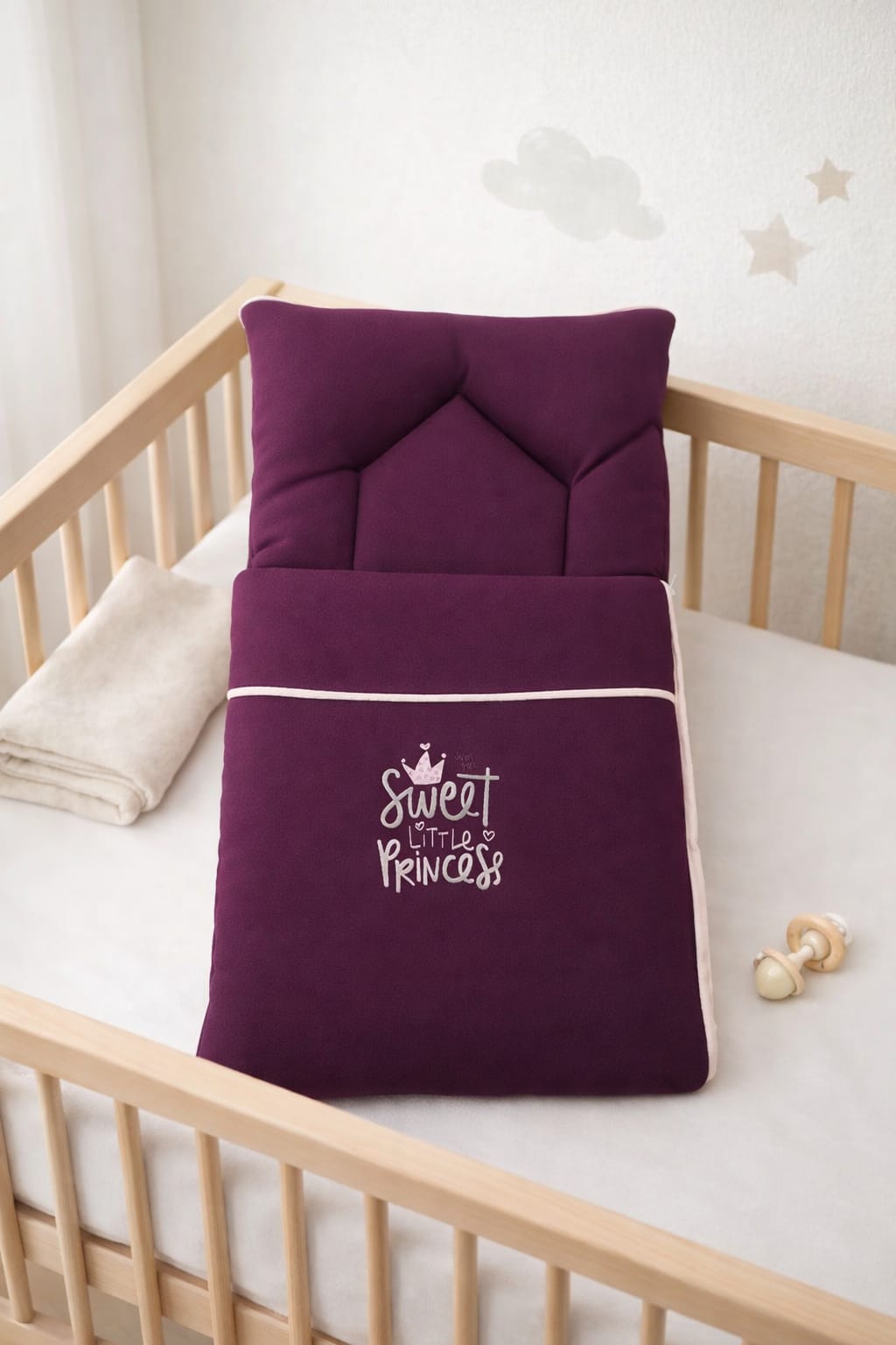 Baby Carry Nest/Sleeping Bag